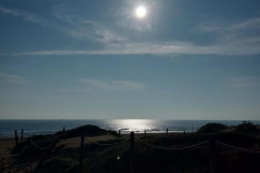 Embrace-Diversity-2019-21