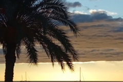 Embrace-Diversity-2019-74