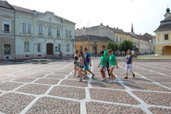 ifjusagi-csere-Live-Green-Bart-2015-113