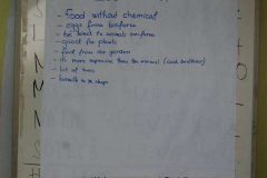 ifjusagi-csere-Live-Green-Bart-2015-96