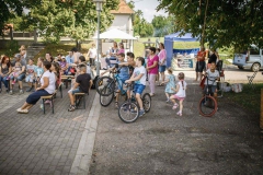 pimpimpare-bart-regionalis-csaladi-nap-2019-25